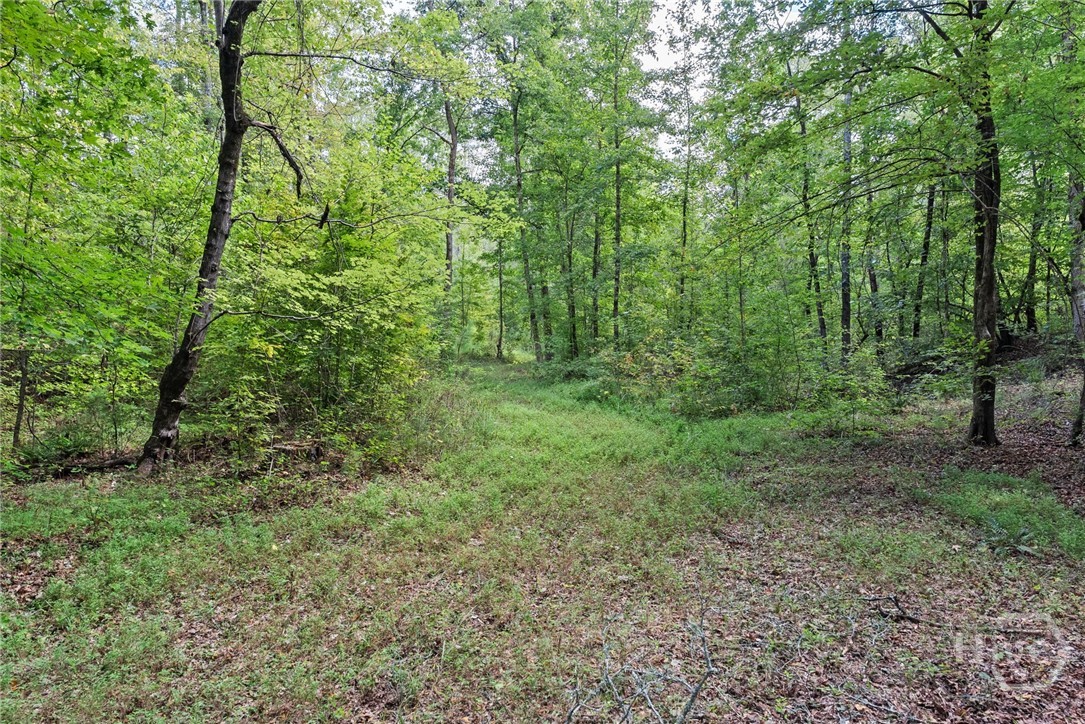 1032 Washington Road Lexington, GA 30648 - Photo 13 of 70 Gallery Image 13