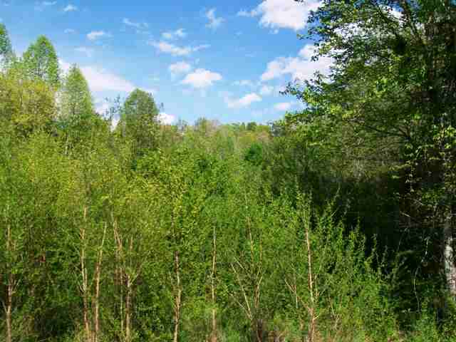 0 Gin Shoals Road Six Mile, SC 29682 - Photo 2 of 6