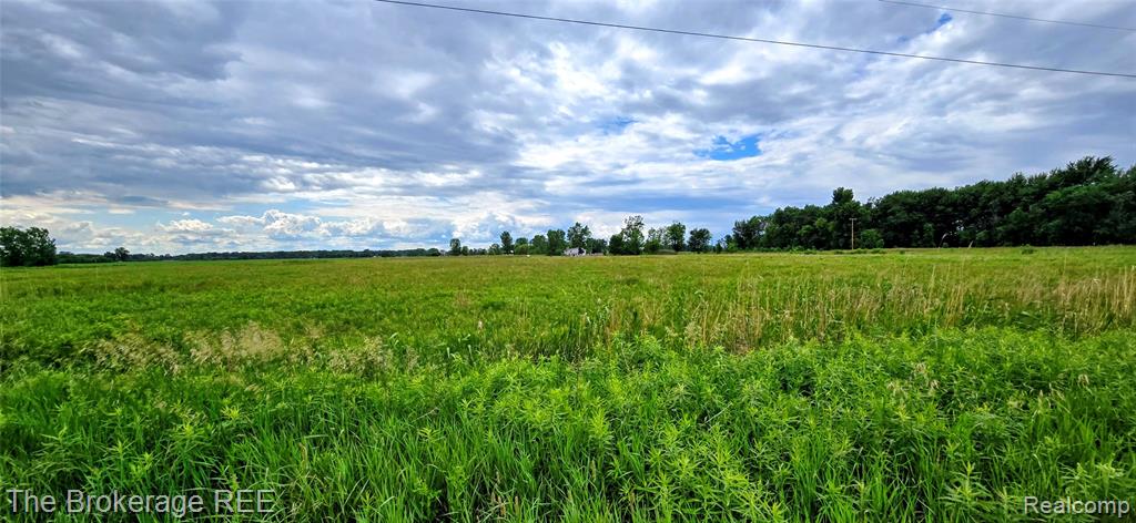 0 Bowers Road Capac, MI 48014 - Photo 7 of 7