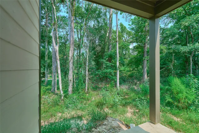 a view of a backyard with potted plants and large trees