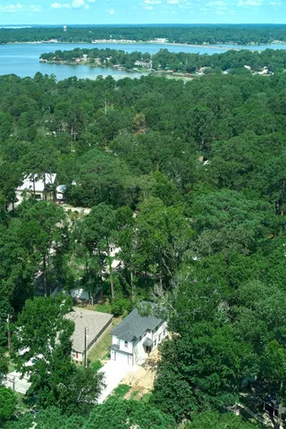 a view of a bunch of flowers