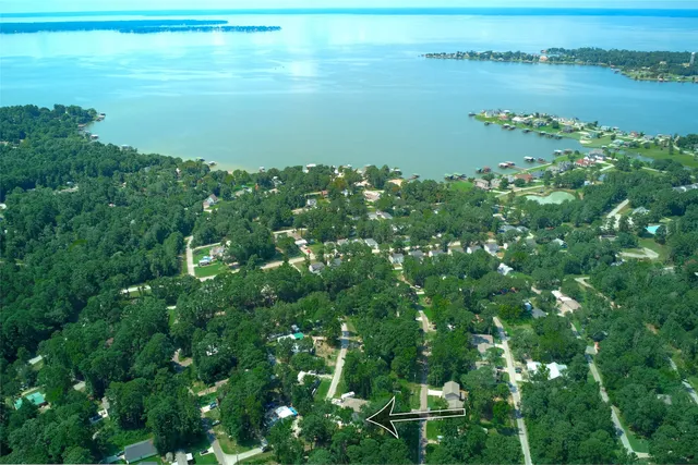 a view of a house with a lush green forest