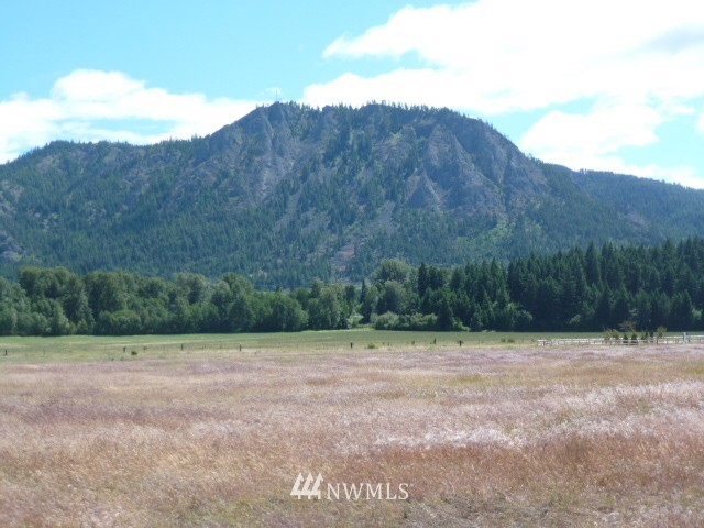 0 Pine Ridge Lane Cle Elum, WA 98922 - Photo 1 of 9 Gallery Image 1
