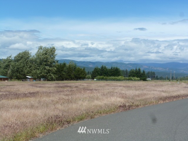 0 Pine Ridge Lane Cle Elum, WA 98922 - Photo 3 of 9 Gallery Image 3