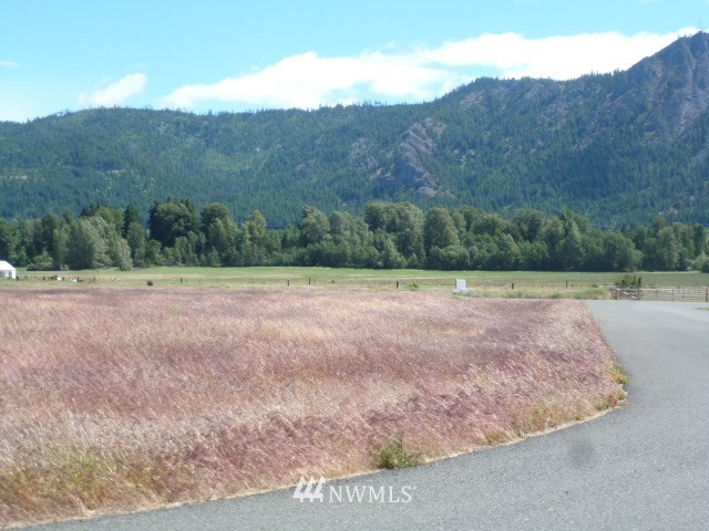 0 Pine Ridge Lane Cle Elum, WA 98922 - Photo 5 of 9 Gallery Image 5