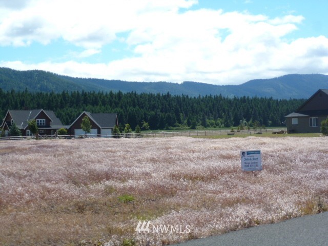 0 Pine Ridge Lane Cle Elum, WA 98922 - Photo 7 of 9 Gallery Image 7