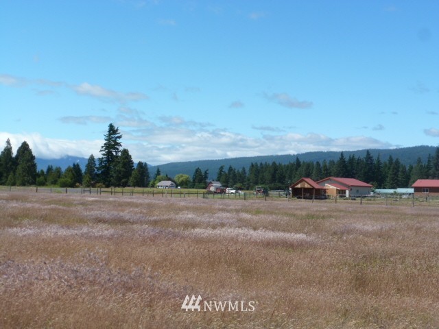 0 Pine Ridge Lane Cle Elum, WA 98922 - Photo 8 of 9 Gallery Image 8