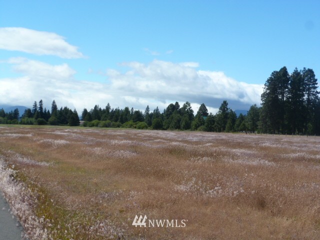 0 Pine Ridge Lane Cle Elum, WA 98922 - Photo 9 of 9 Gallery Image 9