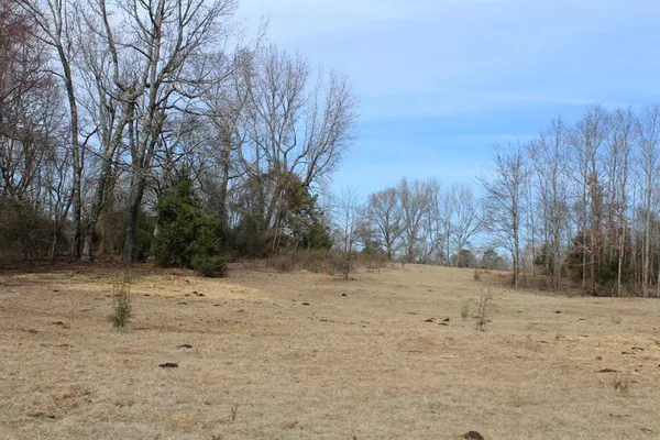 $265,000 | 0 Egypt Hill Road, Plain Dealing, LA 71064