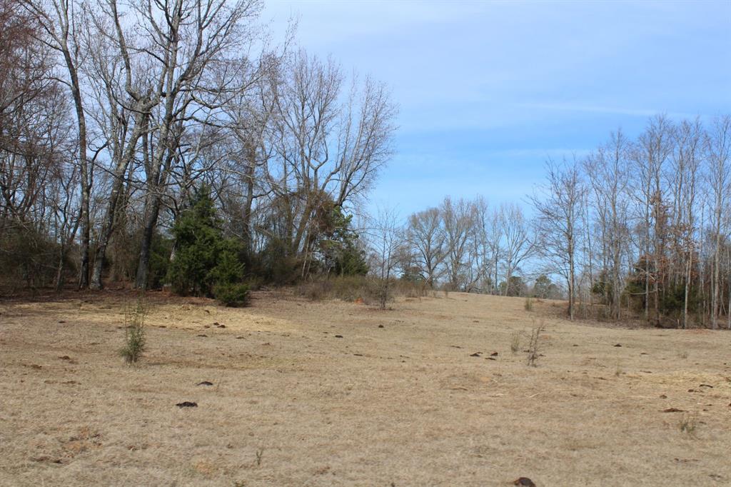 0 Egypt Hill Road Plain Dealing, LA 71064 - Photo 11 of 16