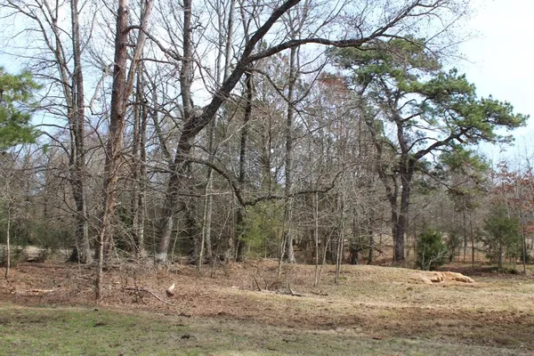 $265,000 | 0 Egypt Hill Road, Plain Dealing, LA 71064