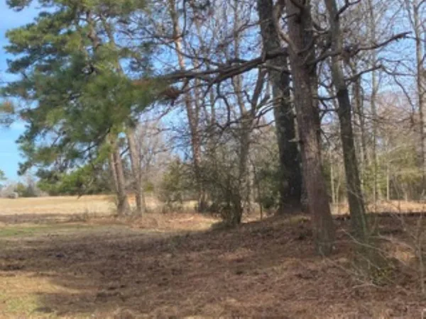 $265,000 | 0 Egypt Hill Road, Plain Dealing, LA 71064