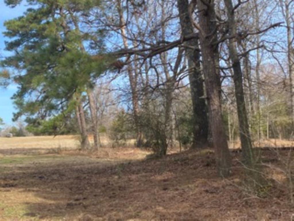 0 Egypt Hill Road Plain Dealing, LA 71064 - Photo 13 of 16