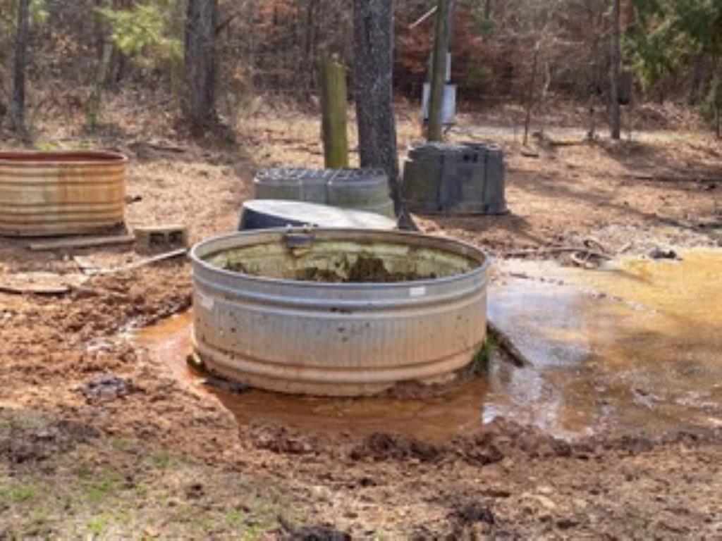 0 Egypt Hill Road Plain Dealing, LA 71064 - Photo 14 of 16