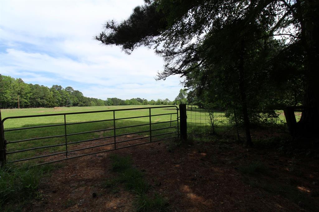 0 Egypt Hill Road Plain Dealing, LA 71064 - Photo 2 of 16