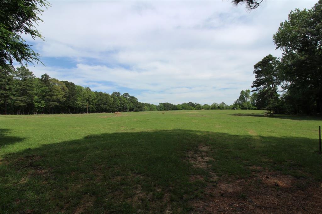 0 Egypt Hill Road Plain Dealing, LA 71064 - Photo 3 of 16