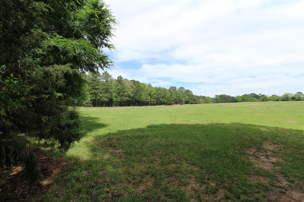 0 Egypt Hill Road Plain Dealing, LA 71064 - Photo 4 of 16