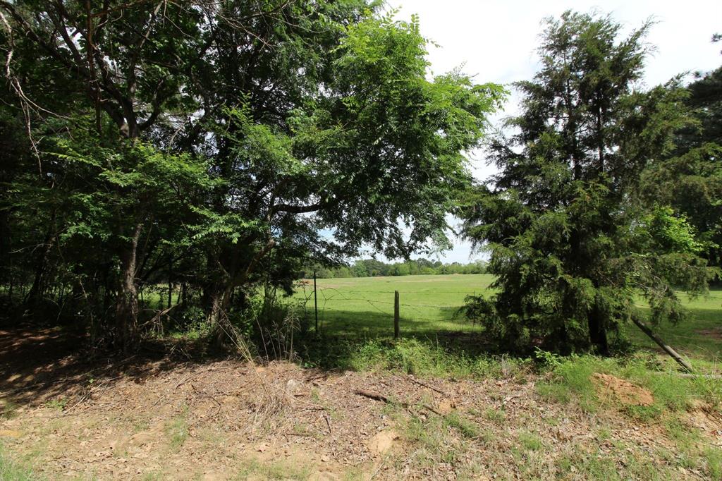 0 Egypt Hill Road Plain Dealing, LA 71064 - Photo 5 of 16