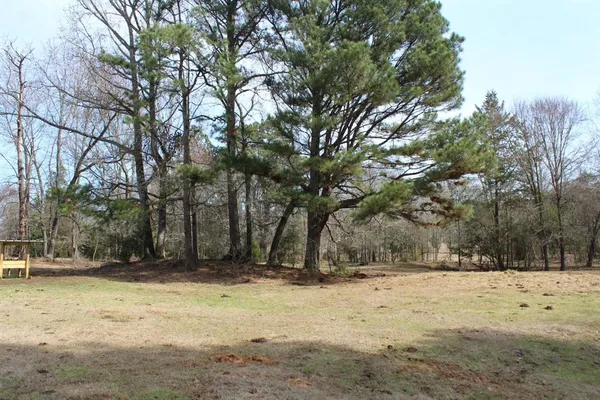 $265,000 | 0 Egypt Hill Road, Plain Dealing, LA 71064