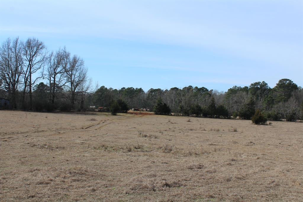 0 Egypt Hill Road Plain Dealing, LA 71064 - Photo 8 of 16
