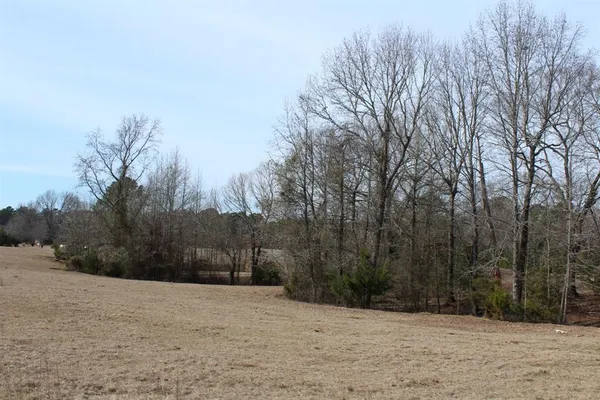 $265,000 | 0 Egypt Hill Road, Plain Dealing, LA 71064