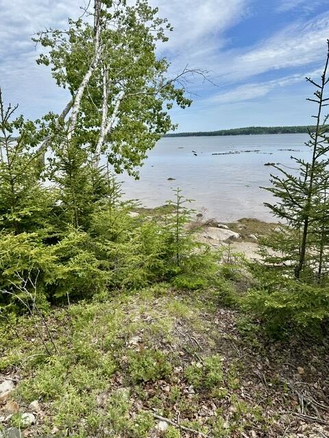 336 Rays Point Road Milbridge, ME 04658 - Photo 46 of 46