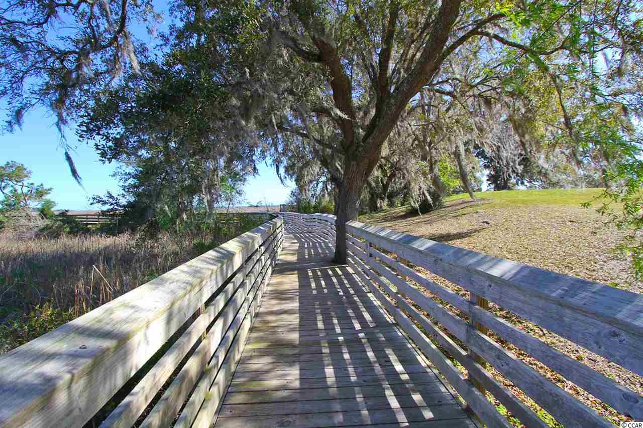 Lot 130 Oaklawn Road Georgetown, SC 29440 - Photo 19 of 30