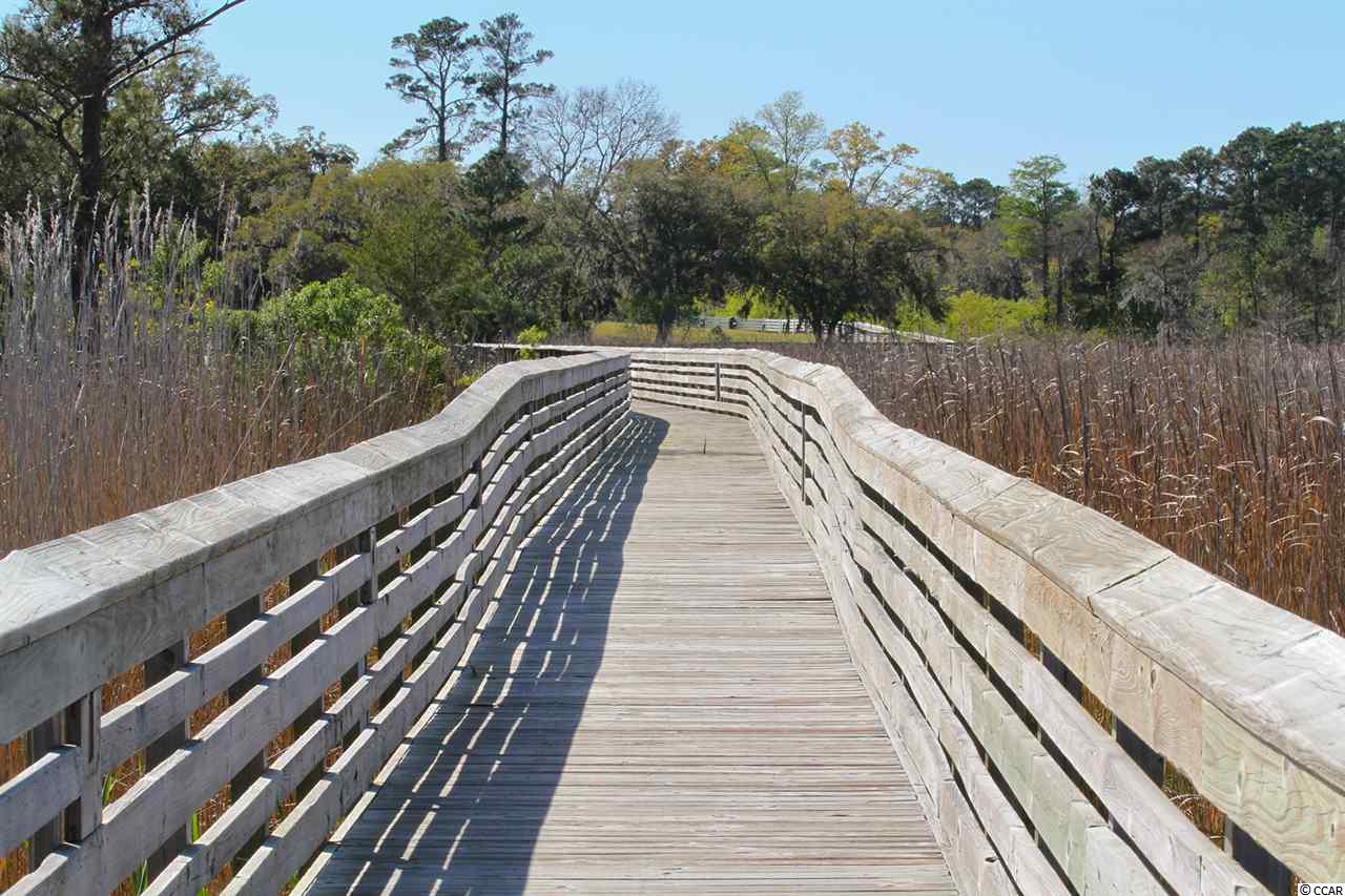 Lot 130 Oaklawn Road Georgetown, SC 29440 - Photo 20 of 30