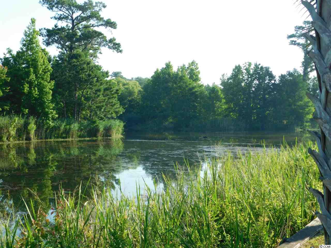 Lot 130 Oaklawn Road Georgetown, SC 29440 - Photo 3 of 30