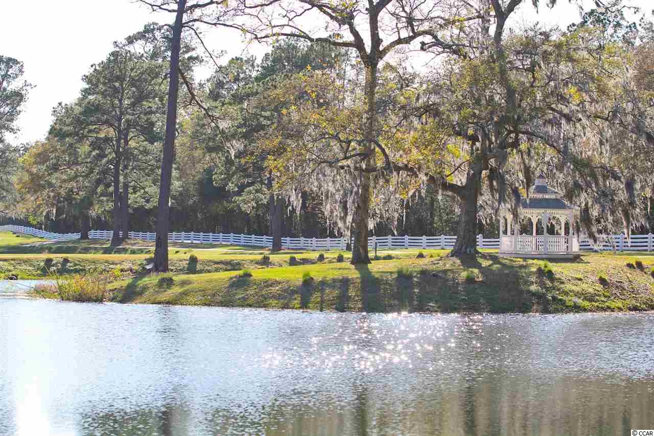 Lot 130 Oaklawn Road Georgetown, SC 29440 - Photo 28 of 30
