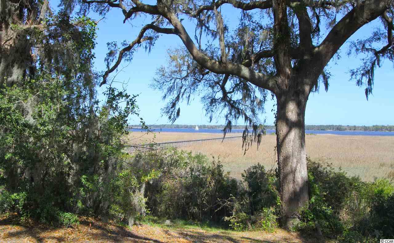 Lot 130 Oaklawn Road Georgetown, SC 29440 - Photo 29 of 30
