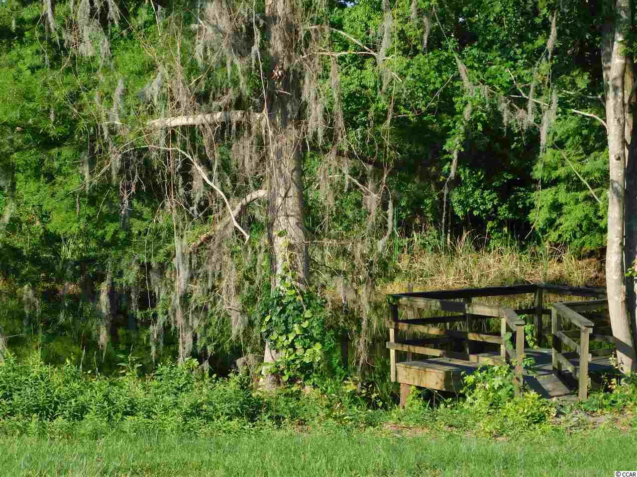 Lot 130 Oaklawn Road Georgetown, SC 29440 - Photo 5 of 30