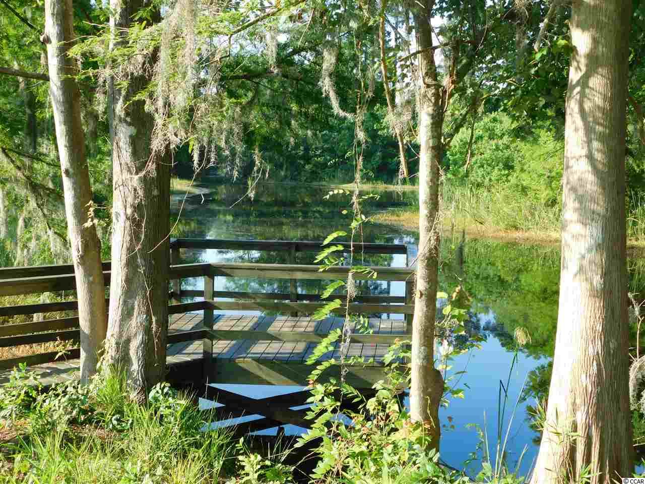 Lot 130 Oaklawn Road Georgetown, SC 29440 - Photo 6 of 30