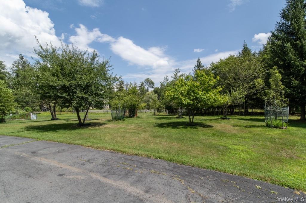 139 Haddock Road Monticello, NY 12701 - Photo 29 of 40