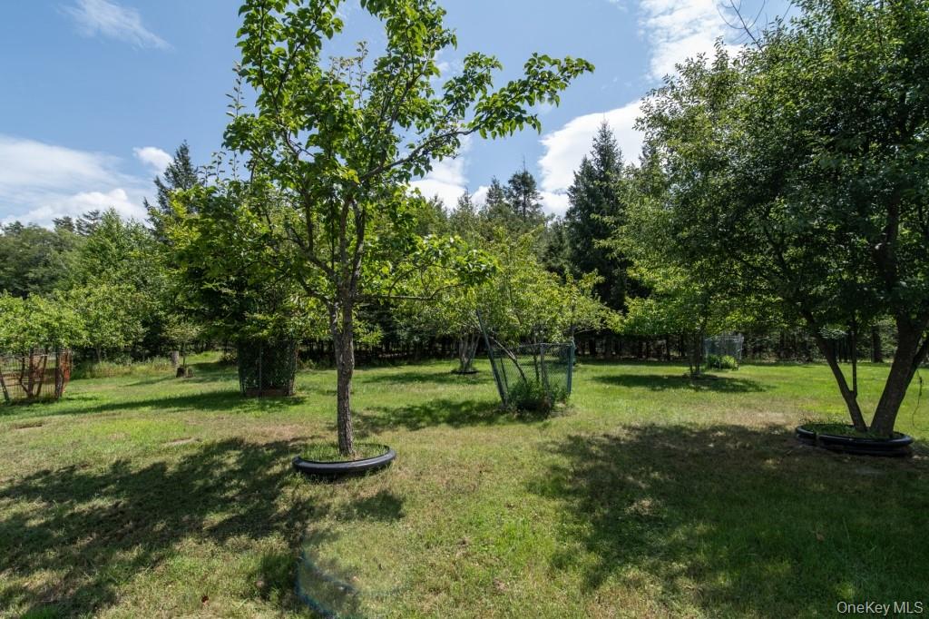 139 Haddock Road Monticello, NY 12701 - Photo 30 of 40 View of grassy yard