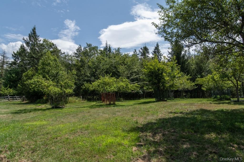 139 Haddock Road Monticello, NY 12701 - Photo 31 of 40 View of green lawn