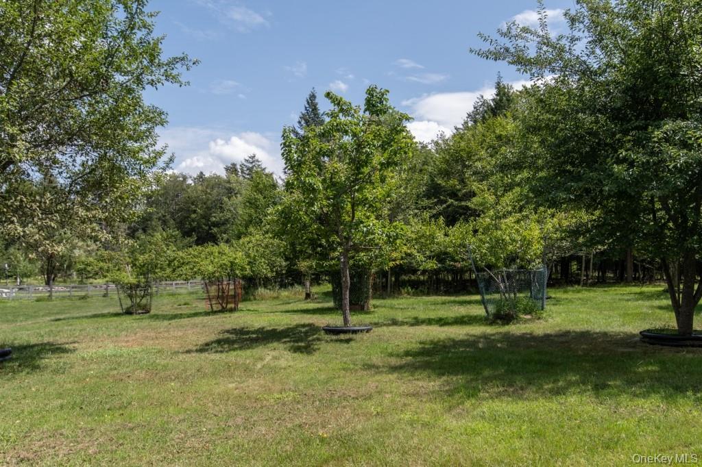 139 Haddock Road Monticello, NY 12701 - Photo 35 of 40 View of yard
