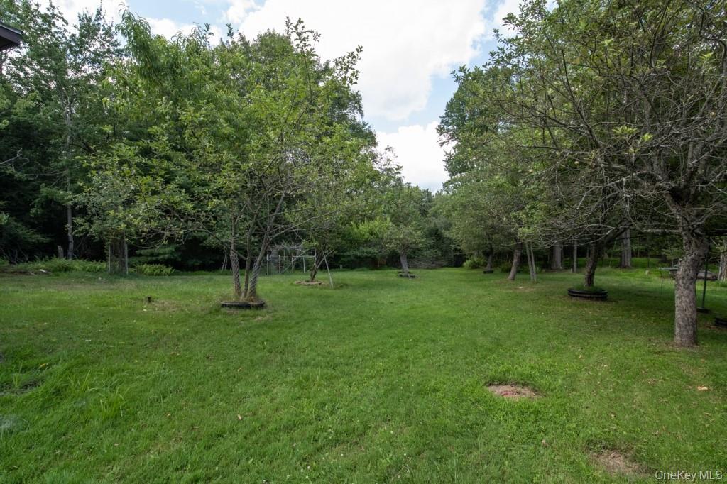 139 Haddock Road Monticello, NY 12701 - Photo 36 of 40 View of grassy yard