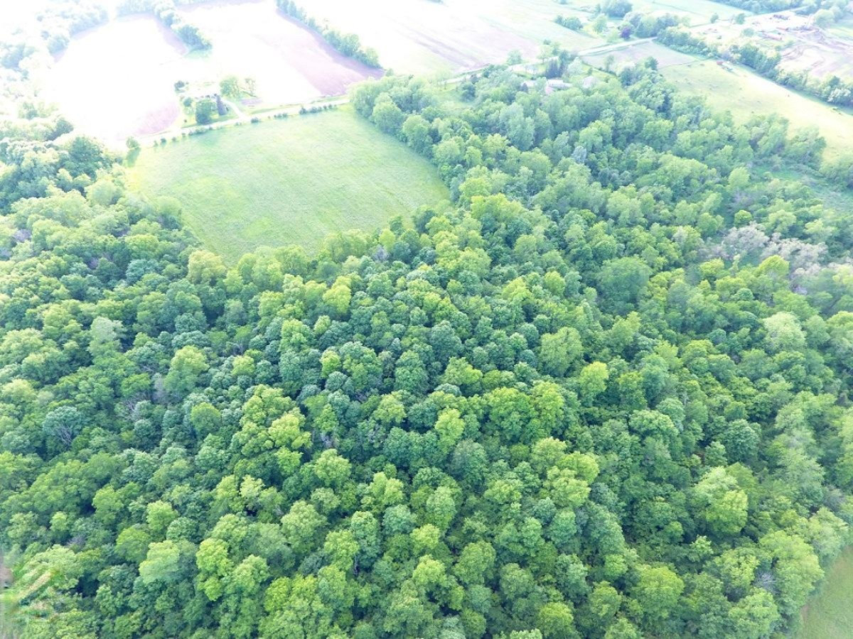 2925 Waldron Road North Adams, MI 49262 - Photo 11 of 35 DJI_0012