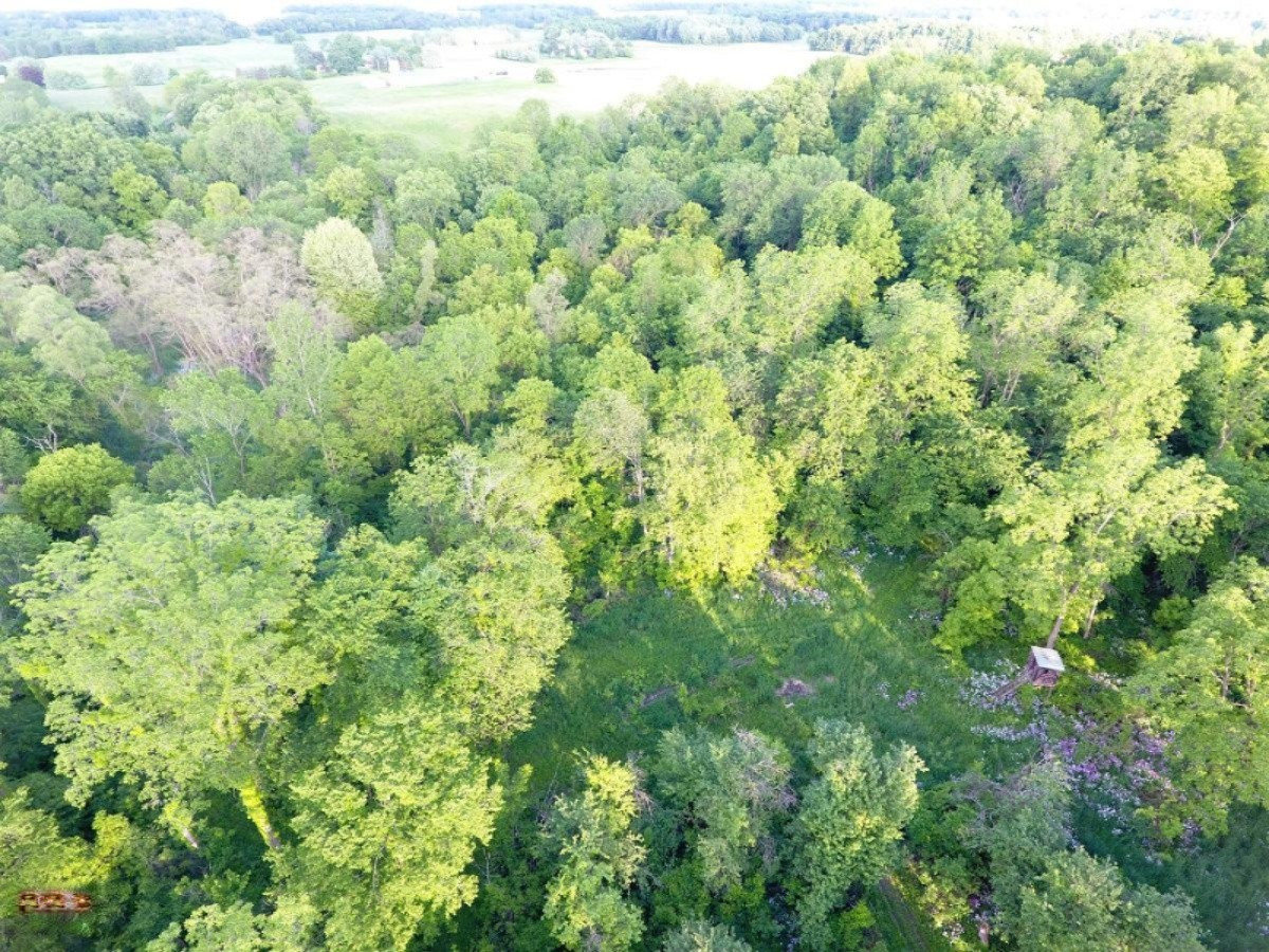 2925 Waldron Road North Adams, MI 49262 - Photo 12 of 35 DJI_0013
