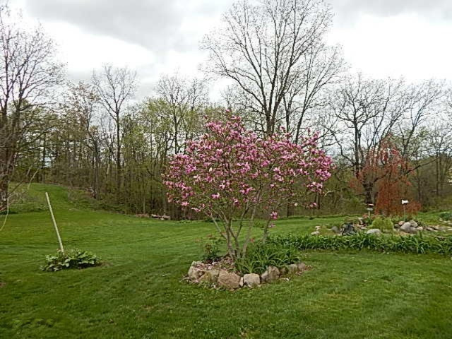 2925 Waldron Road North Adams, MI 49262 - Photo 18 of 35 DSCN6628