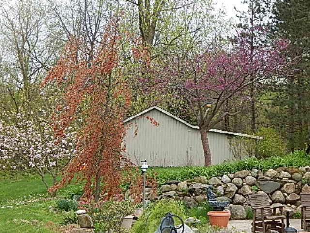 2925 Waldron Road North Adams, MI 49262 - Photo 19 of 35 DSCN6630