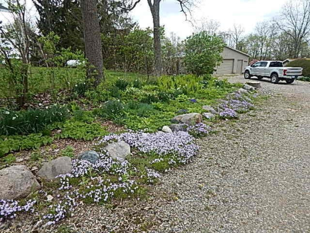 2925 Waldron Road North Adams, MI 49262 - Photo 21 of 35 DSCN6635