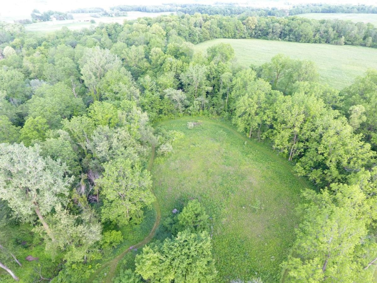 2925 Waldron Road North Adams, MI 49262 - Photo 7 of 35 DJI_0007
