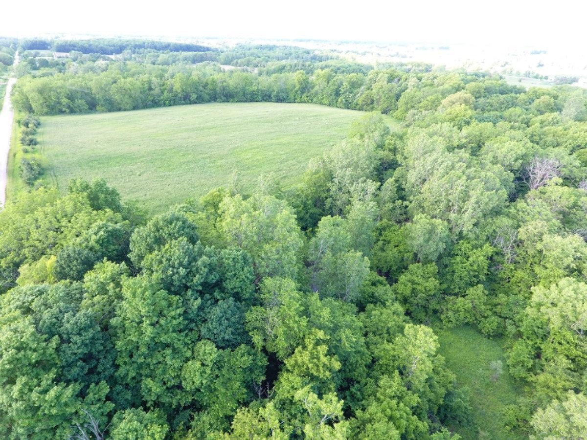 2925 Waldron Road North Adams, MI 49262 - Photo 8 of 35 DJI_0009