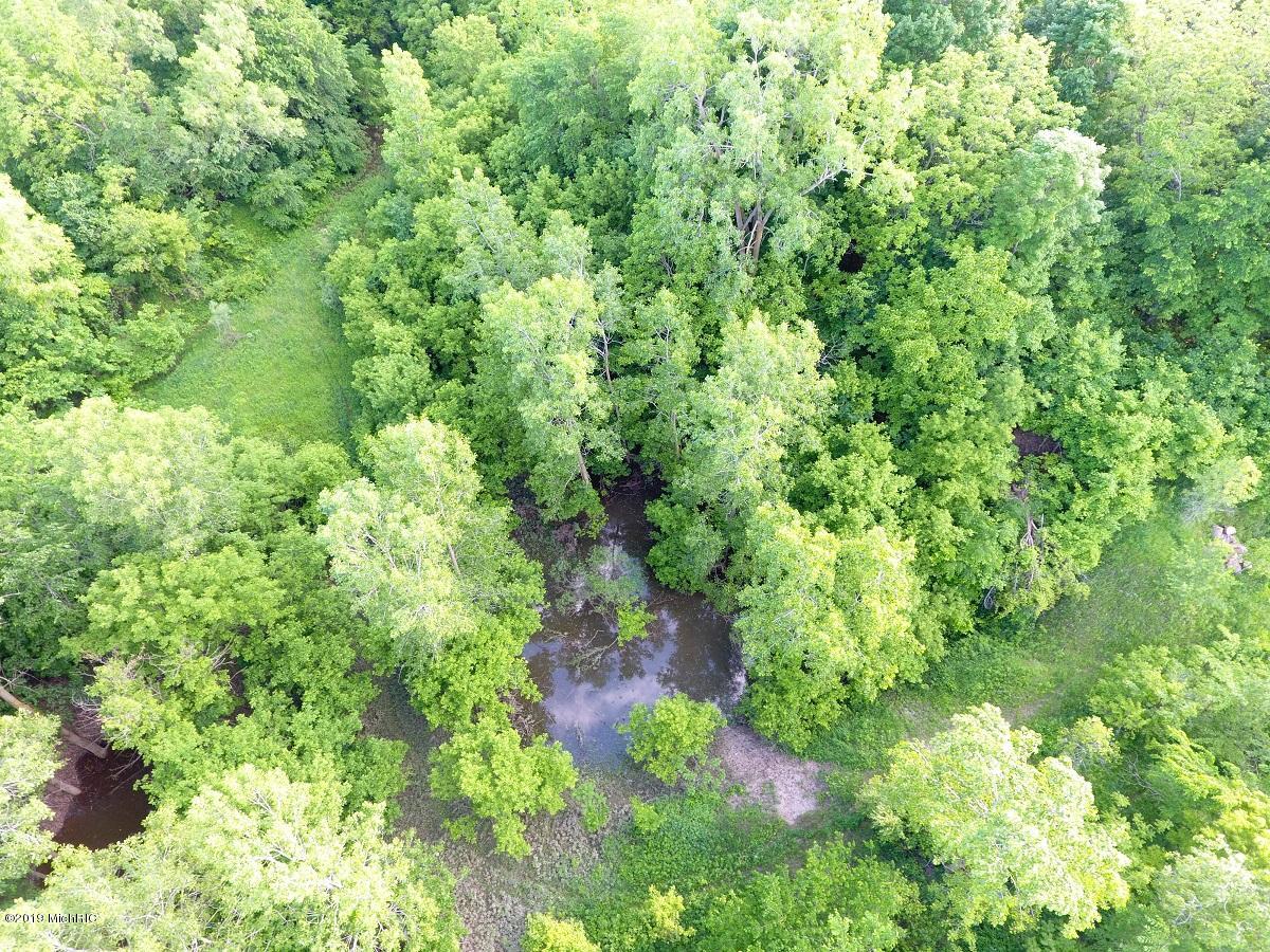 2925 Waldron Road North Adams, MI 49262 - Photo 9 of 35 DJI_0010