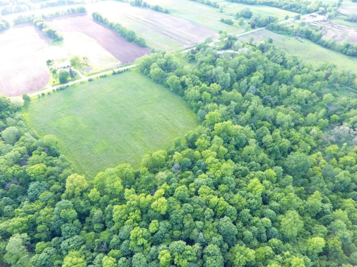 2925 Waldron Road North Adams, MI 49262 - Photo 10 of 35 DJI_0011