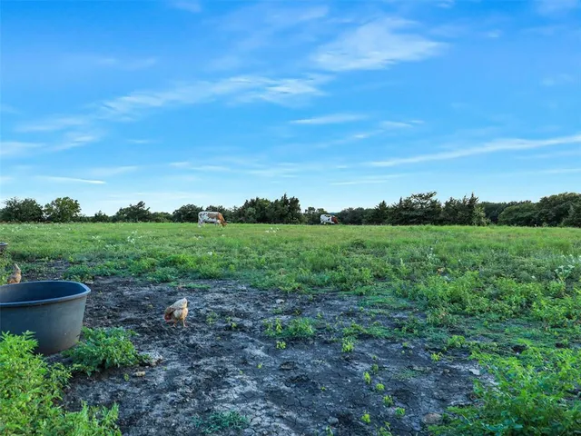 a view of a garden with mountain
