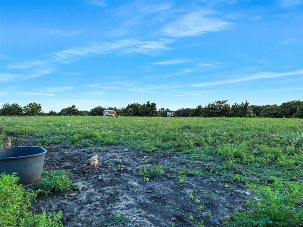 2149 Webb Smith Road Sherman, TX 75090 - Photo 22 of 39 a view of a garden with mountain