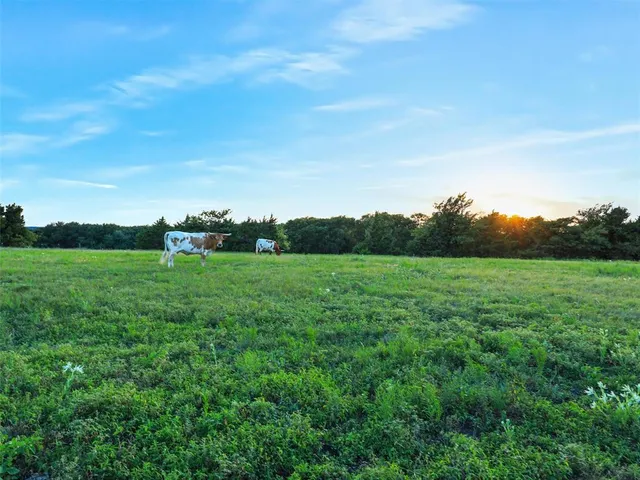 a view of a grassy field with trees